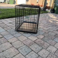 Dog Cage 