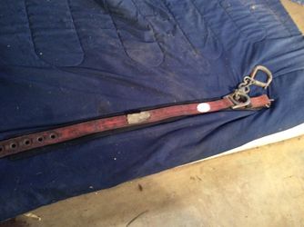 Safety harness