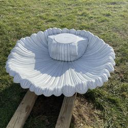 Large Clamshell Birdbath/ Fountain