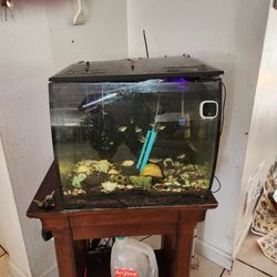 Fluval Flex 15 Gallon..