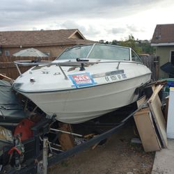 20' SXP V200 Sea Ray