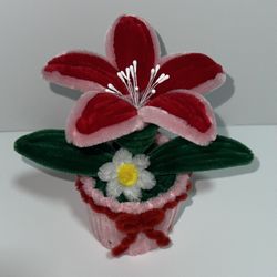 Flores De Limpiapipas