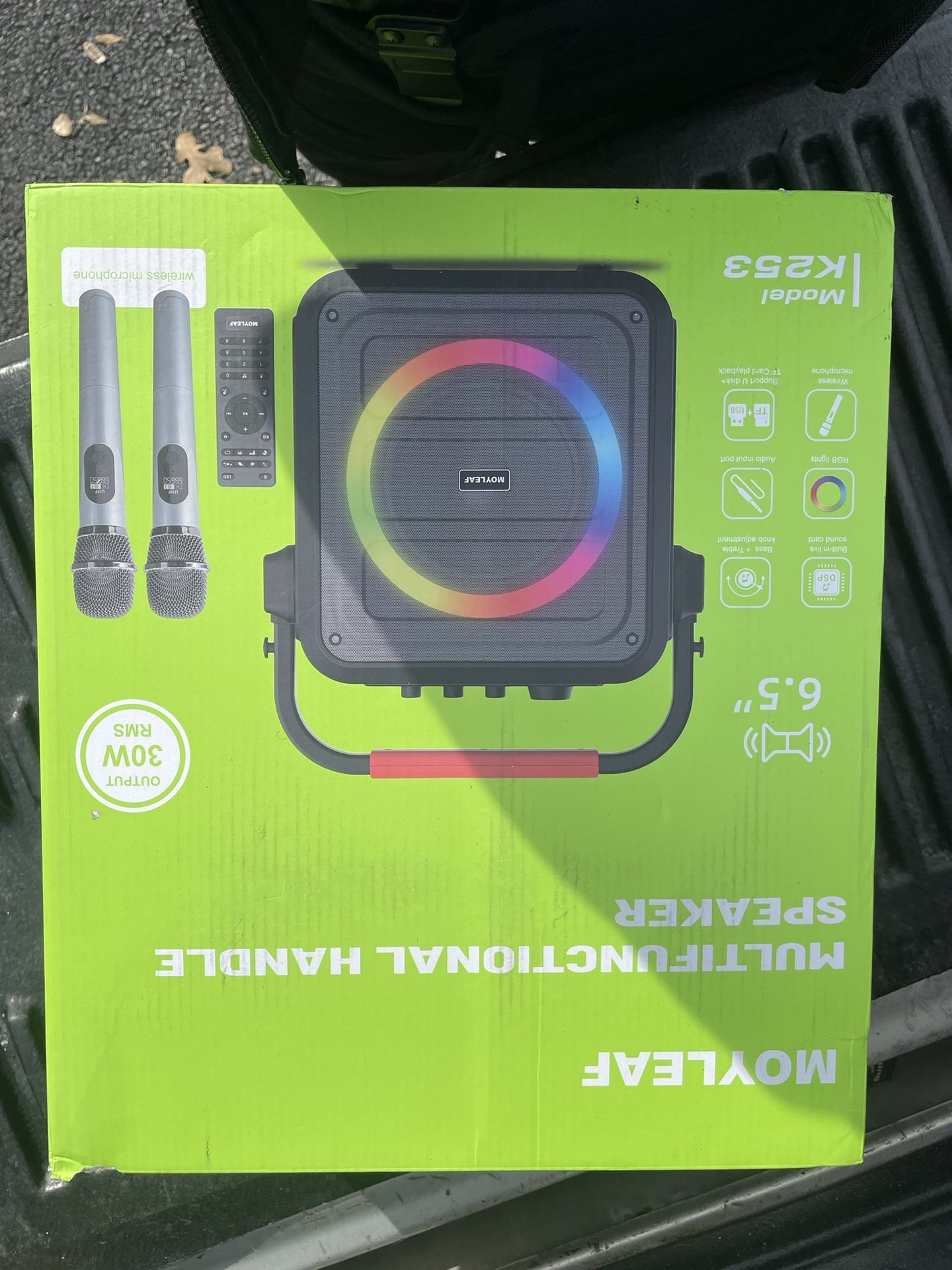Karaoke Machine for Adults & Kids