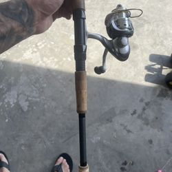 Procyon Rod W/ Okuma Reel