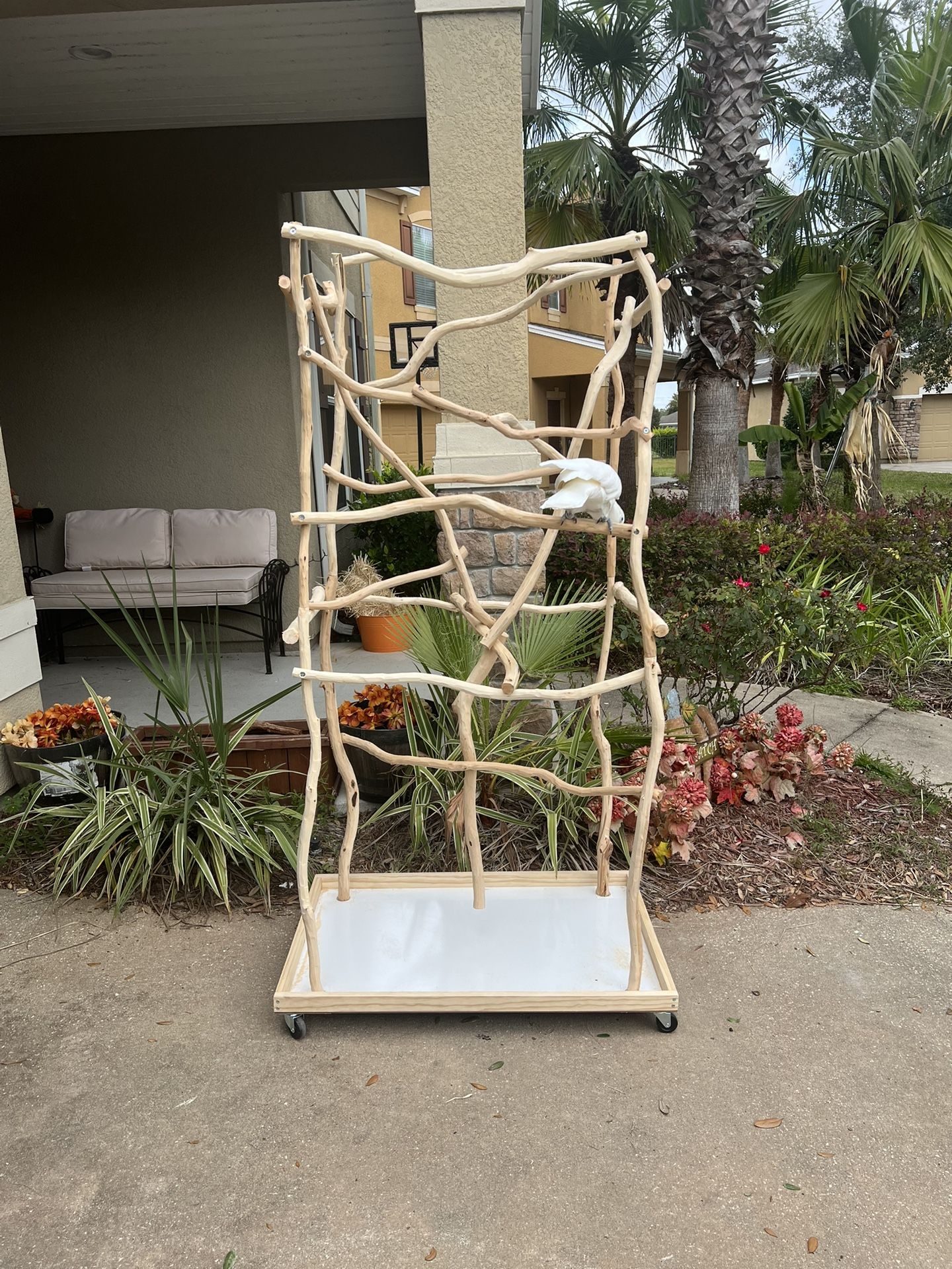 Parrot Stands - Custom - https://offerup.com/redirect/?o=S2luZ1pvdGljLmNvbQ==