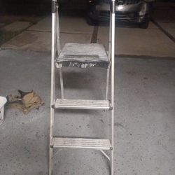 Platform Ladder 