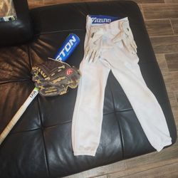 Baseball Gear(Bat, Batting Gloves, Helmet, Pants, and Regular Baseball Glove