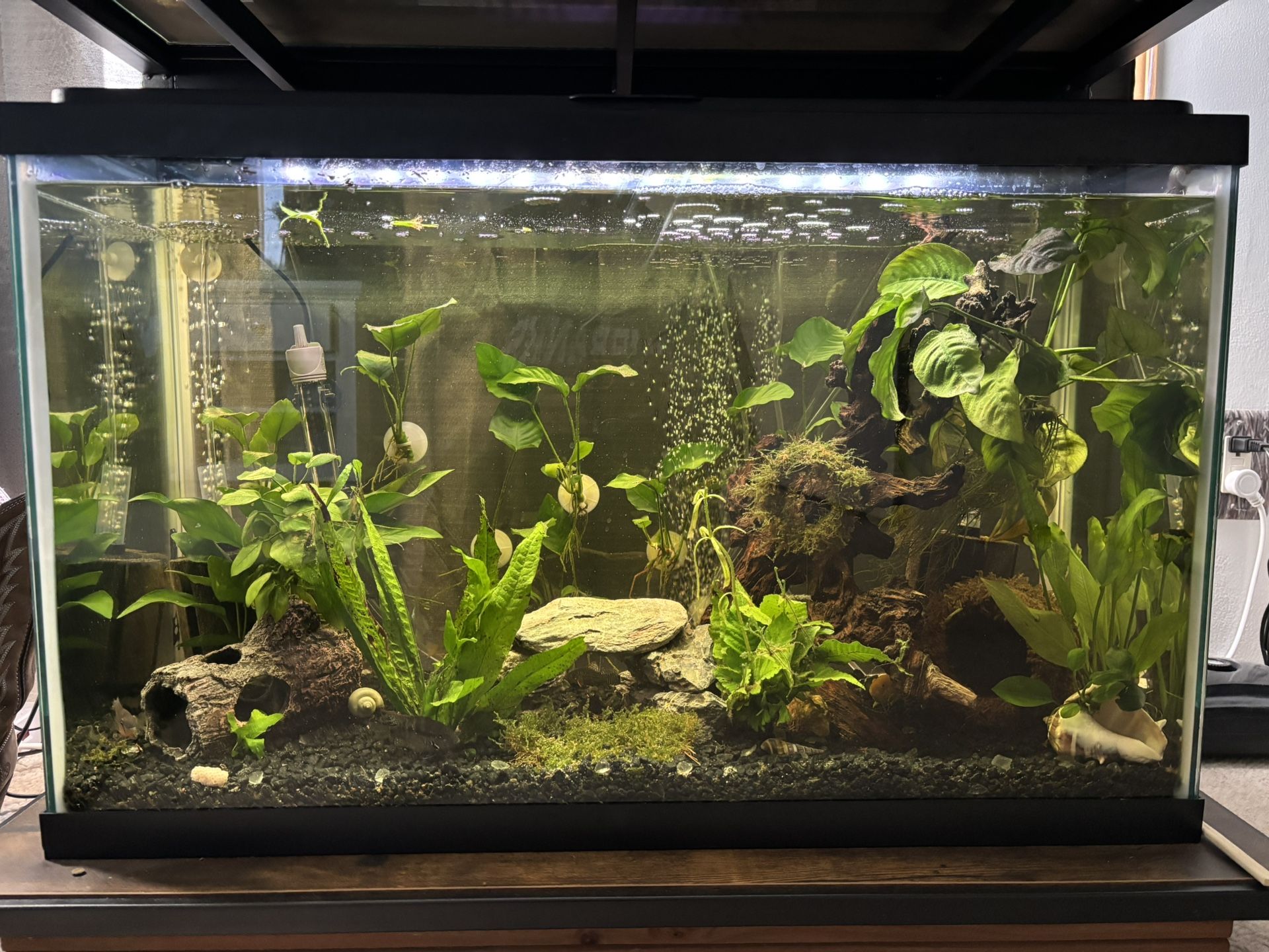 30 gallon tank, lid w light