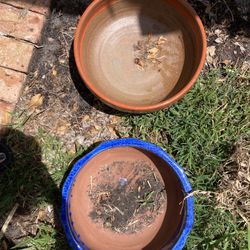 2 large succulent style pots