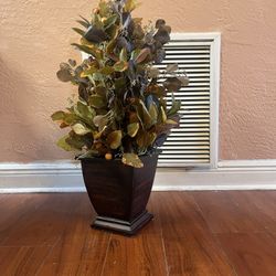 Plant Decoration  *Price Negotiable*