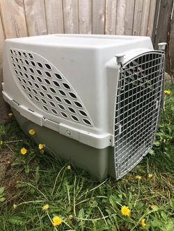 N2n dog crate 2025