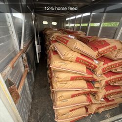 Horse Feed 