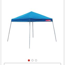 Pop Up Canopy Tent  10x10