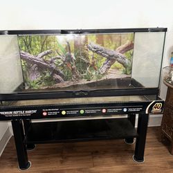 40 Gal Tank + Stand - MOVING 5/15 MAKE OFFER