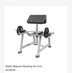Matrix Standing Preacher Curl Bench Station