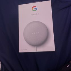 Google Nest Mini
