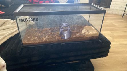 Reptile tank