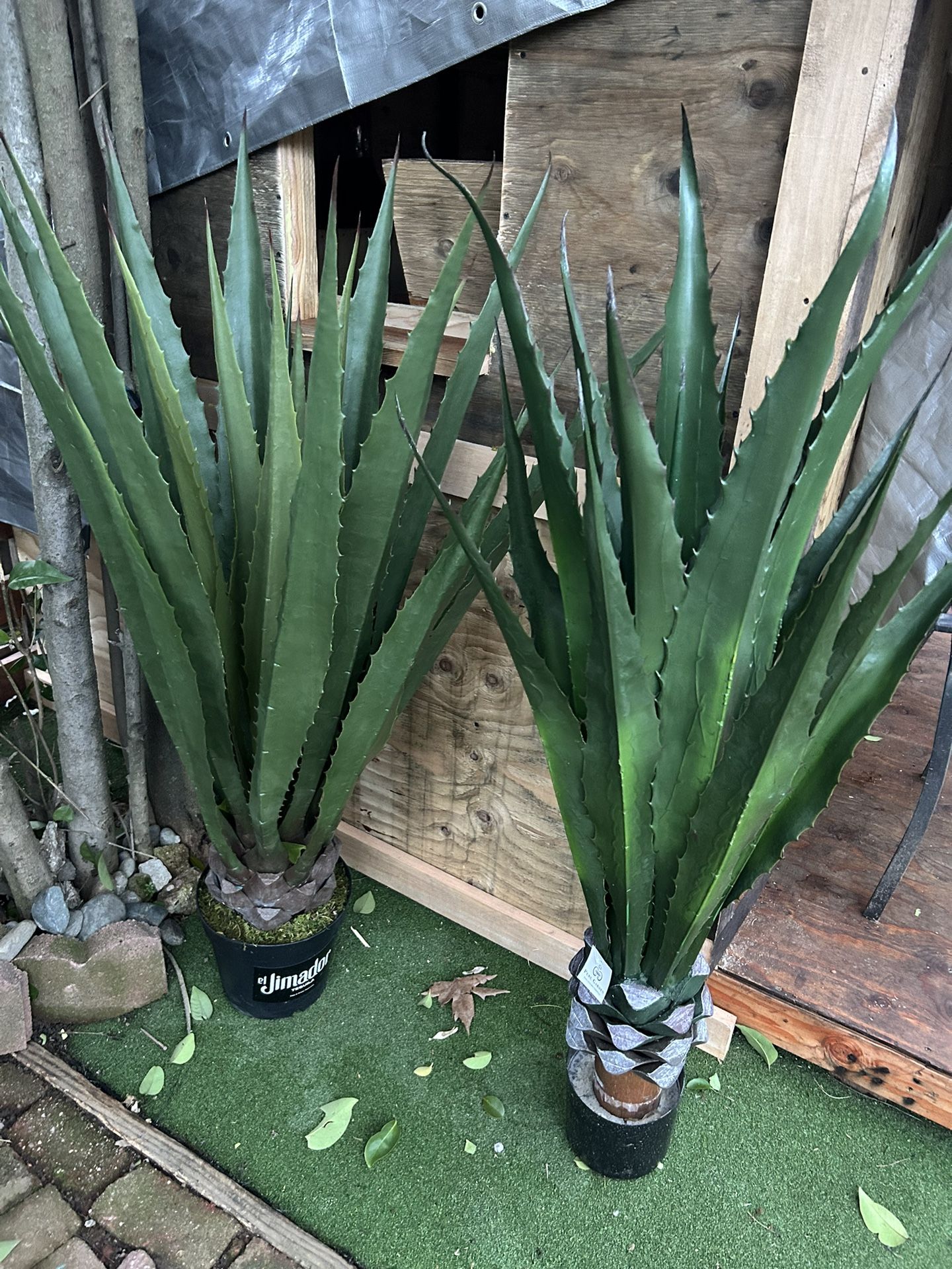Plantas De Agave Sintéticas $40 Cada Una De 4’ De Alto