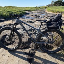 Trek Roscoe 8 Mountain Bike 