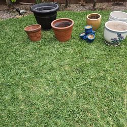 New Plus Used Expensvie Pots For Plants Check Home Depot 300 Firm 
