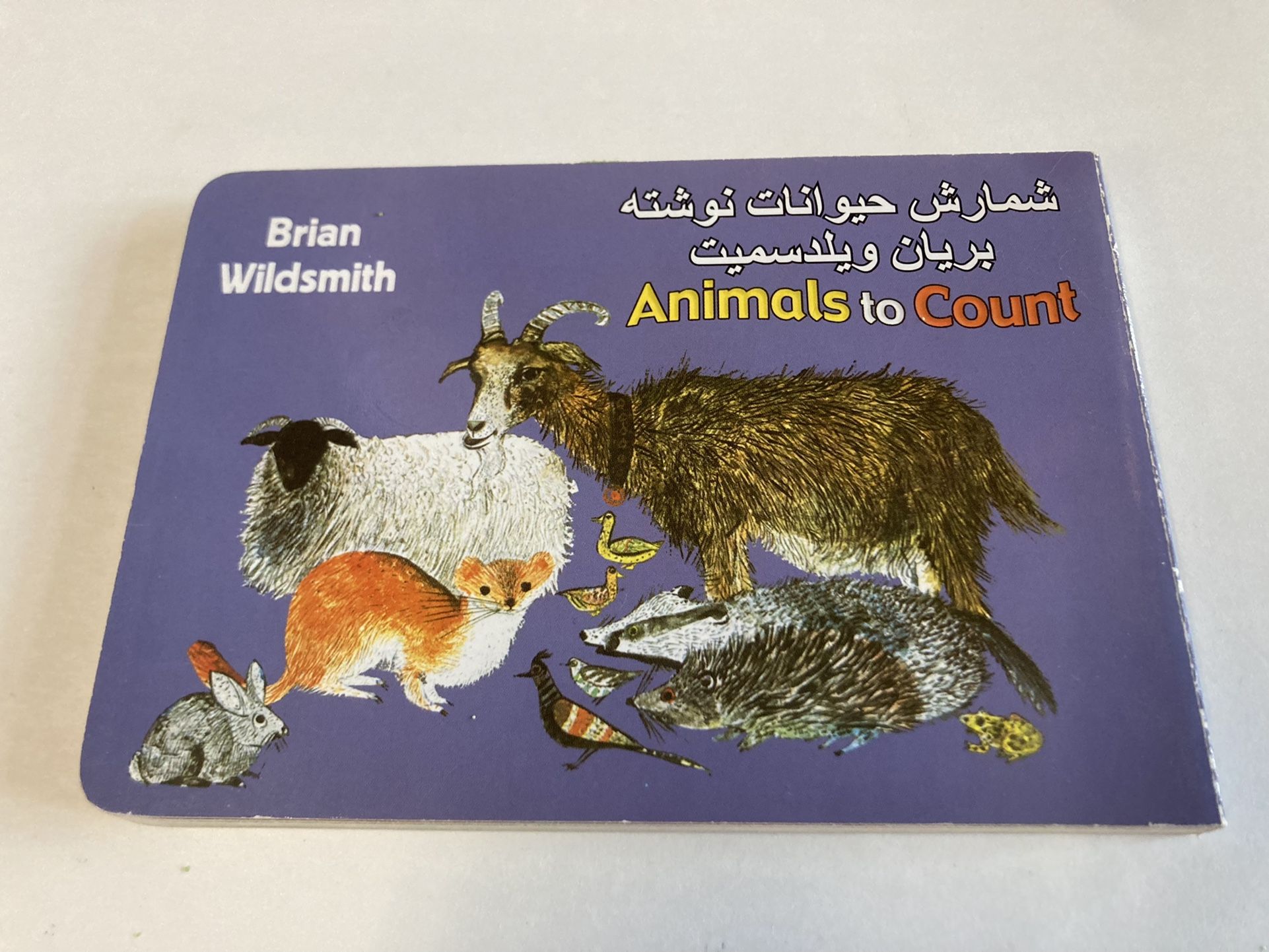 Farsi/English Children’s Picture Book