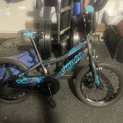 16 Inch Boys Bike Schwinn