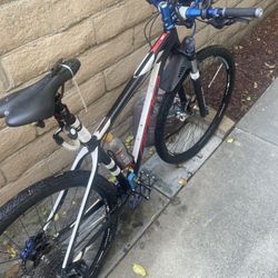 Felt Mtb 29 
