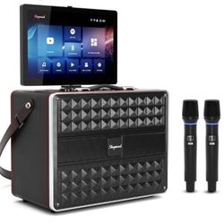 Karaoke Machine for Adults, with Lyrics Display, Smart Portable Big Bluetooth Speaker 2 Wireless Microphones, Professional Karaoke System 800W Peak Po