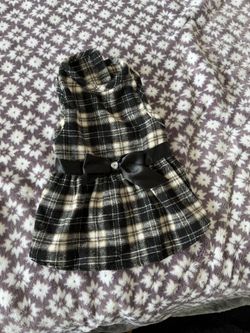 Cute Dog Dress Size M 