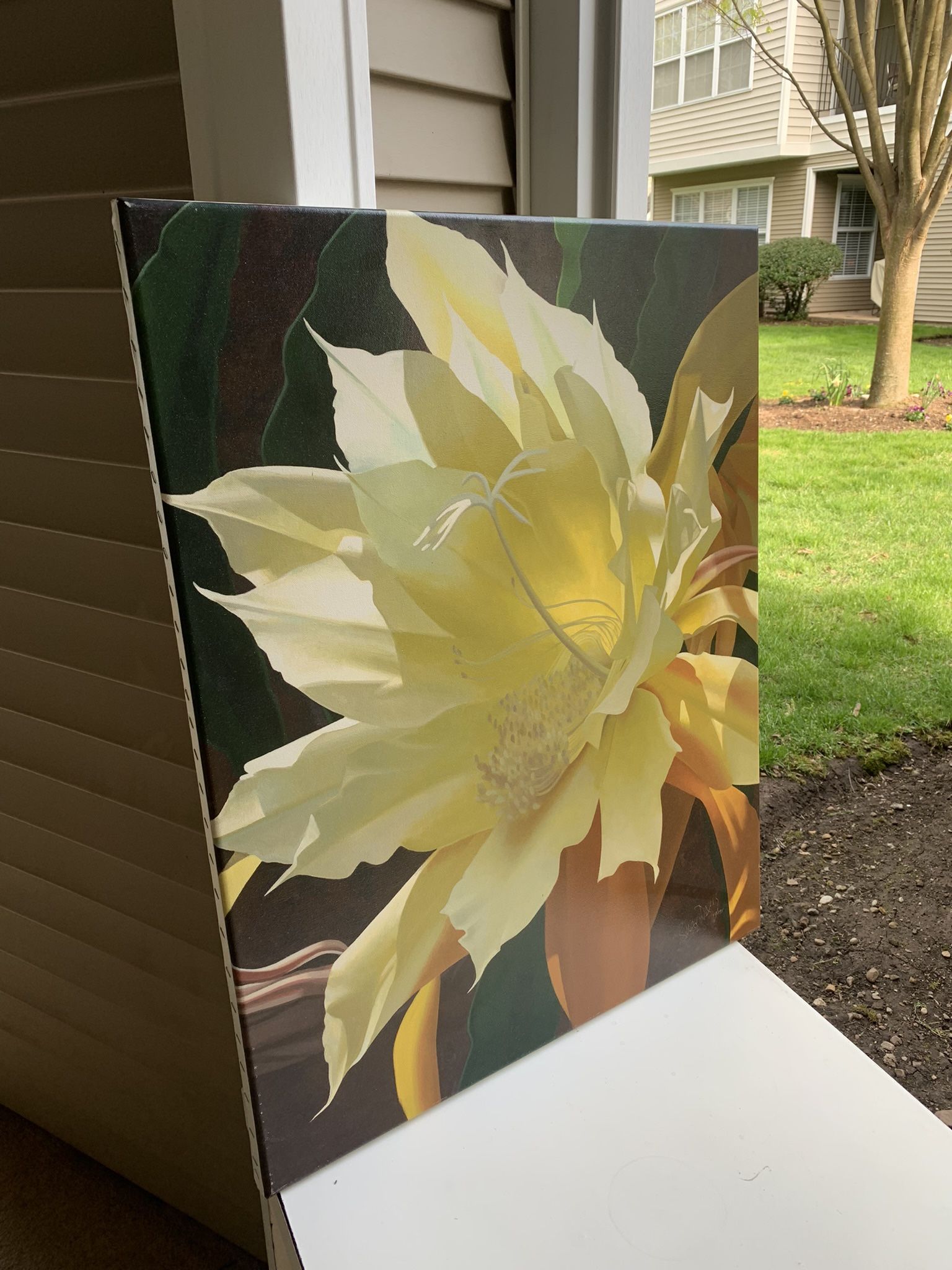 Brian Davis Floral Giclées on Canvas