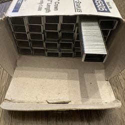 Galvanized Chisel Point Staples