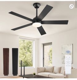 Ceiling fan with light