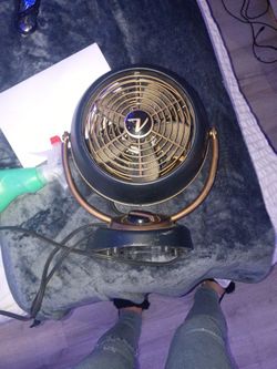Vornado Petite Fan
