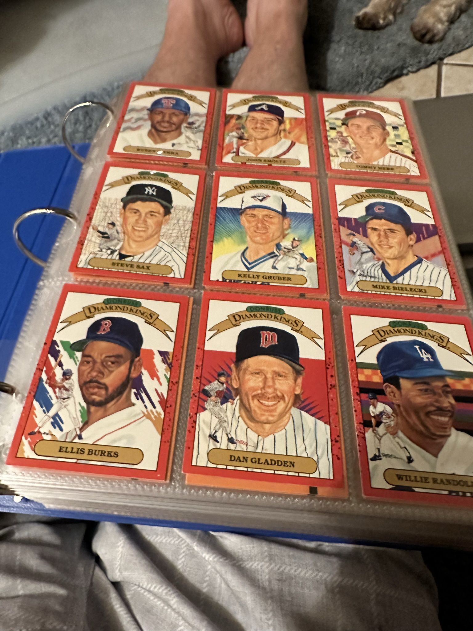1989 Donruss Baseball Card Collection 