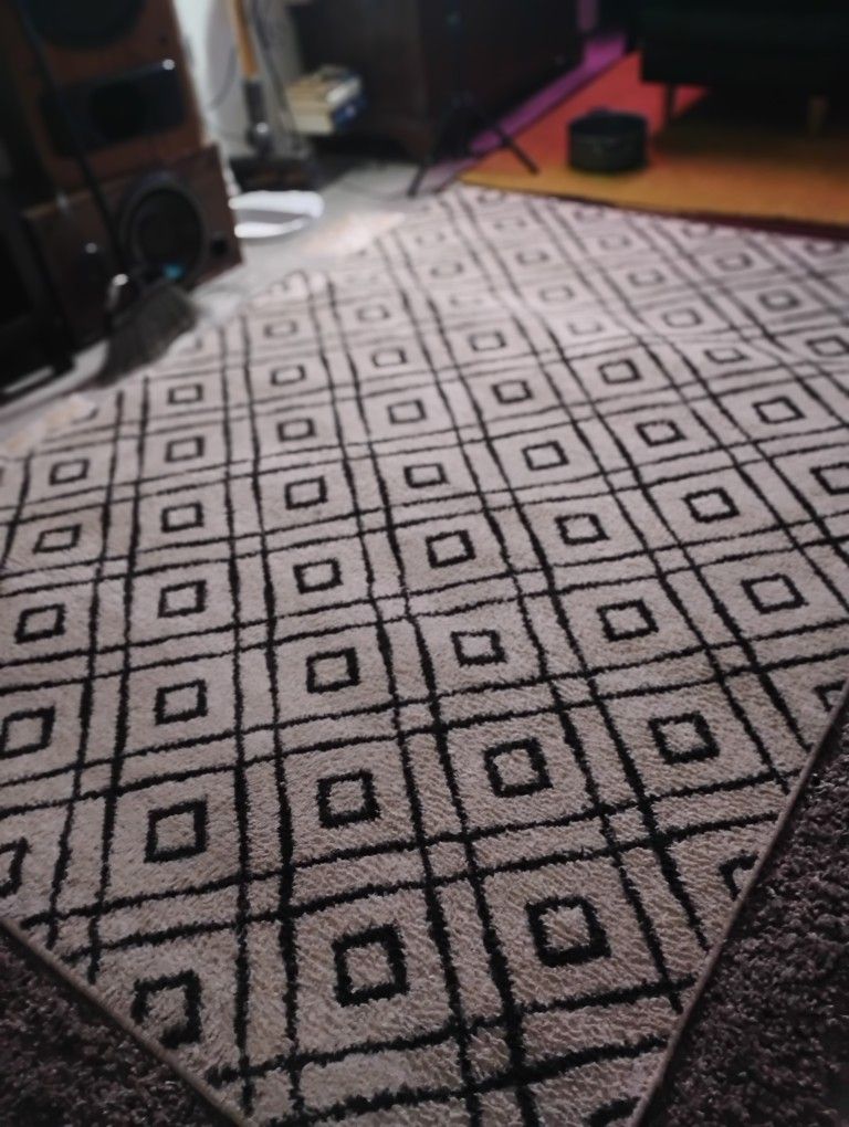 5 Ft. By 8 Ft. Designer Indoor Rug