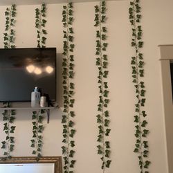 Vines 