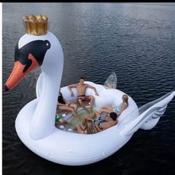 Swan For The Lake 