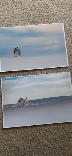Wall Art Prints