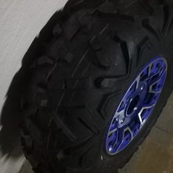 Can Am Wheel