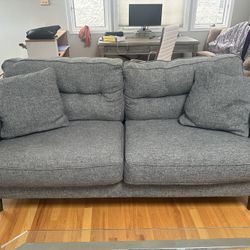 Grey Couch 