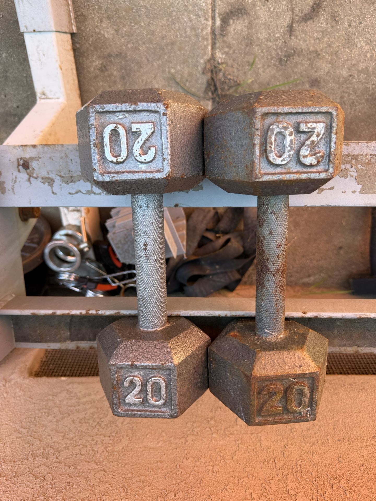 20 Lbs Dumbbell Weights 