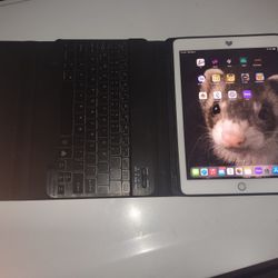 Ipad Pro 9.7 32gb With Cellular Rose Gold