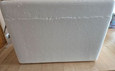 Medium size Styrofoam Cooler with 4 Refreezable Nordic Ice Bricks