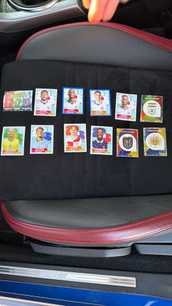 Panini World Cup stickers