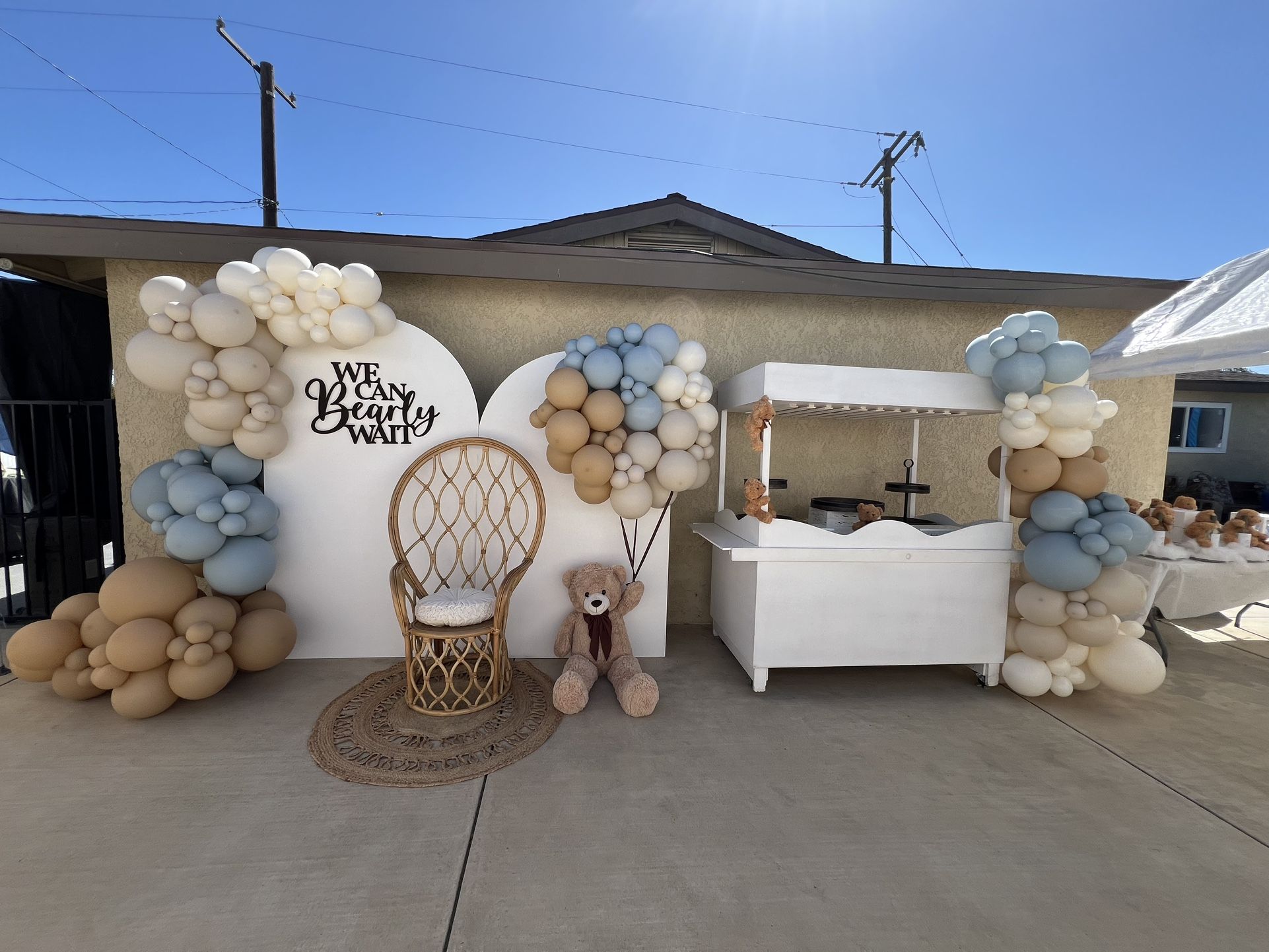 Balloon Backdrops/Decoraciones De Globos