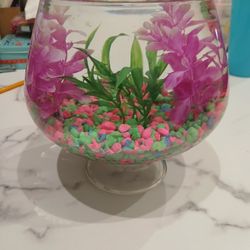 BETTA BOWL