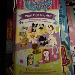 Pucci Pups 