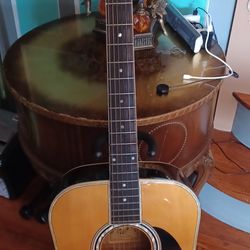 Acoustic Guitar 🎸 