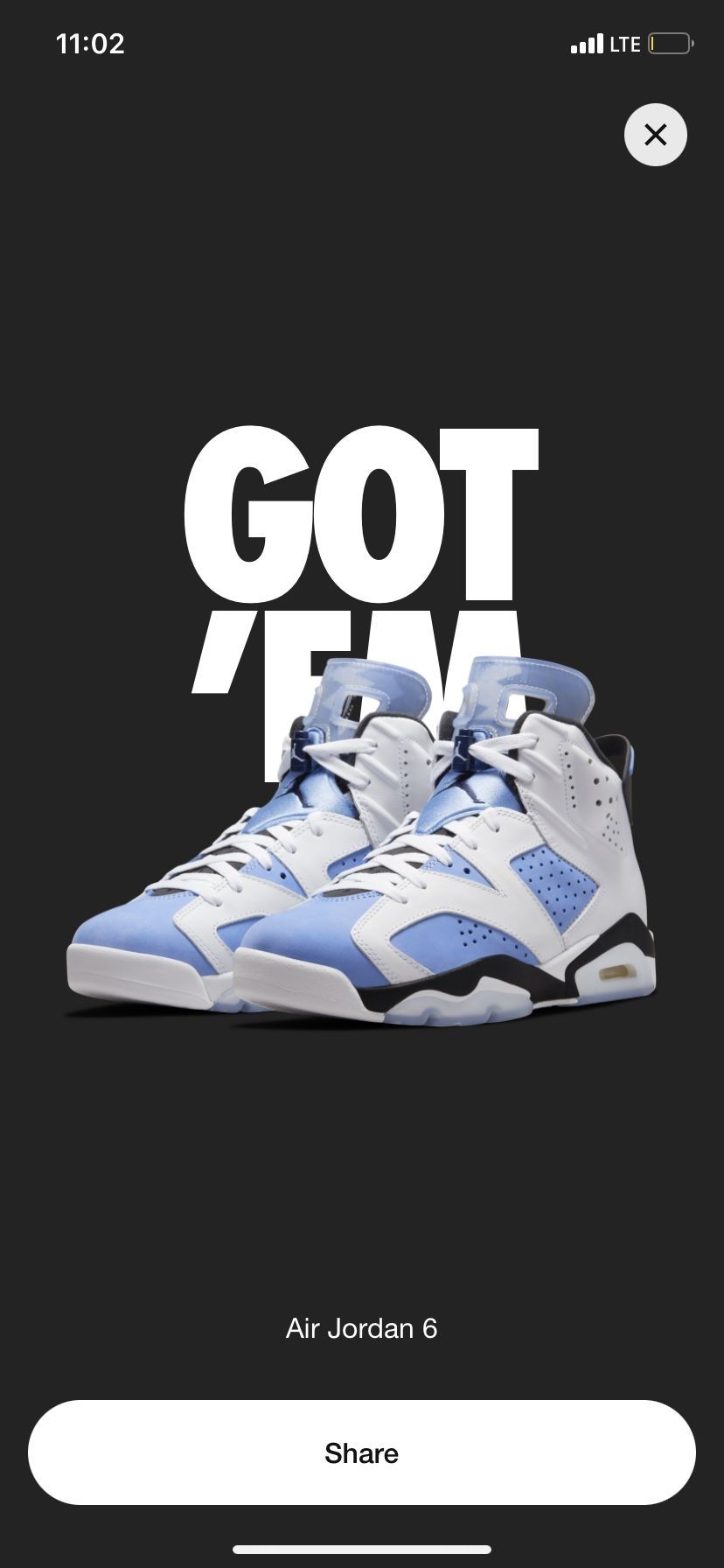 Nike Air Jordan 6