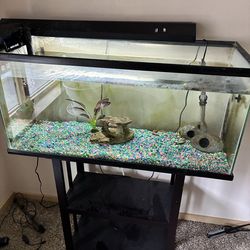 40 gallon aquarium  for SALE